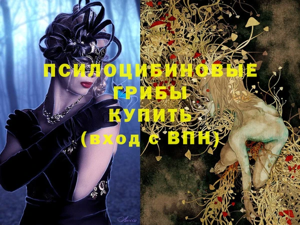 прущий лед Абаза